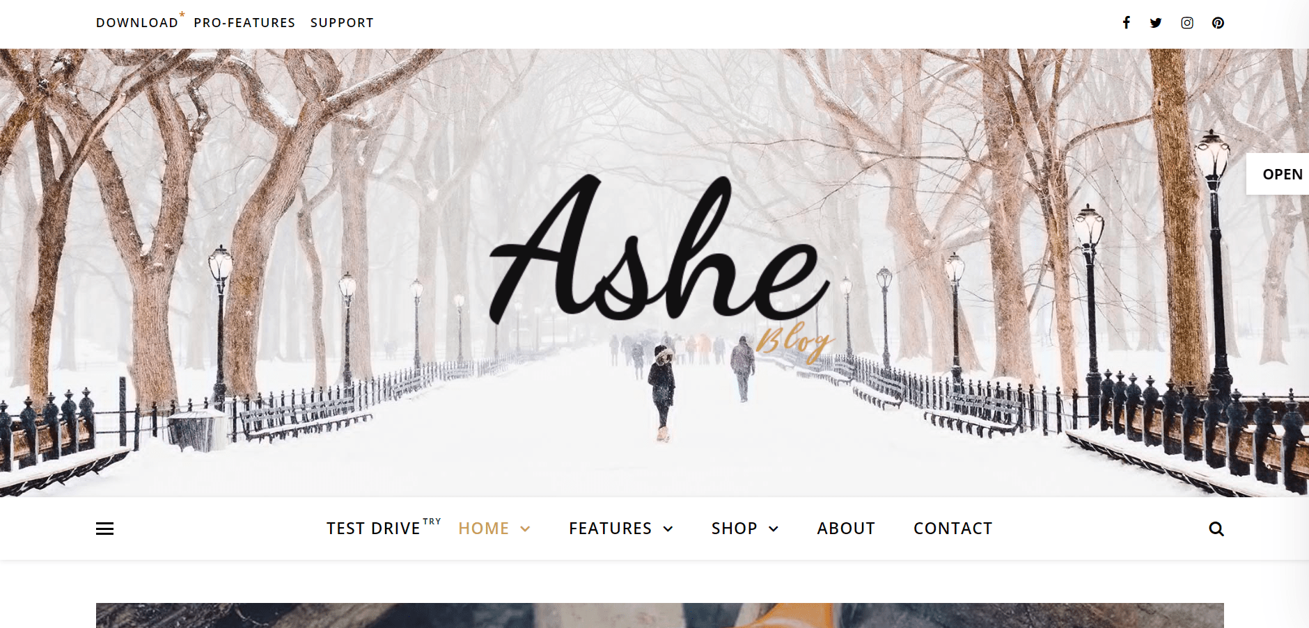 Landing page of ASHE 