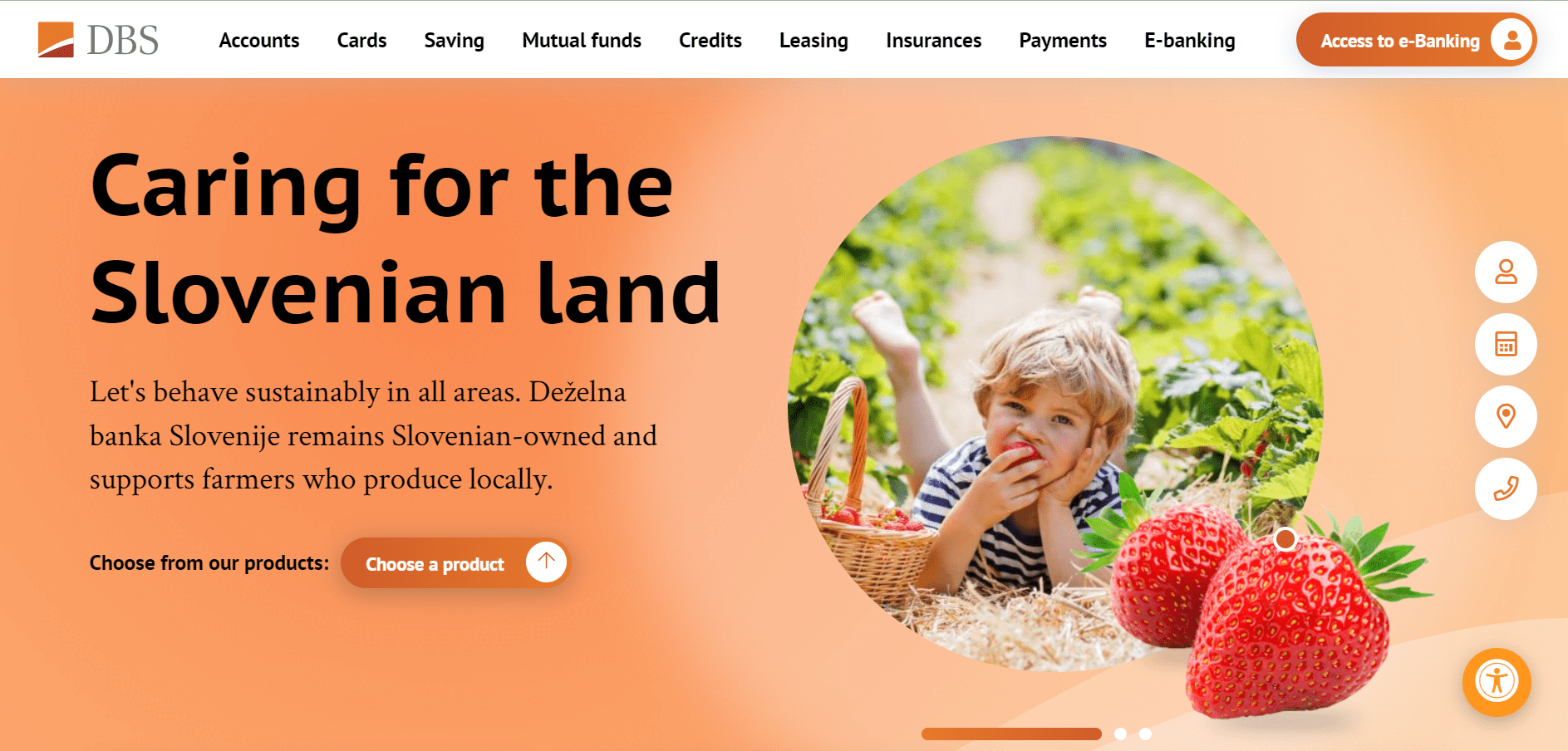 Landing page of DBS 