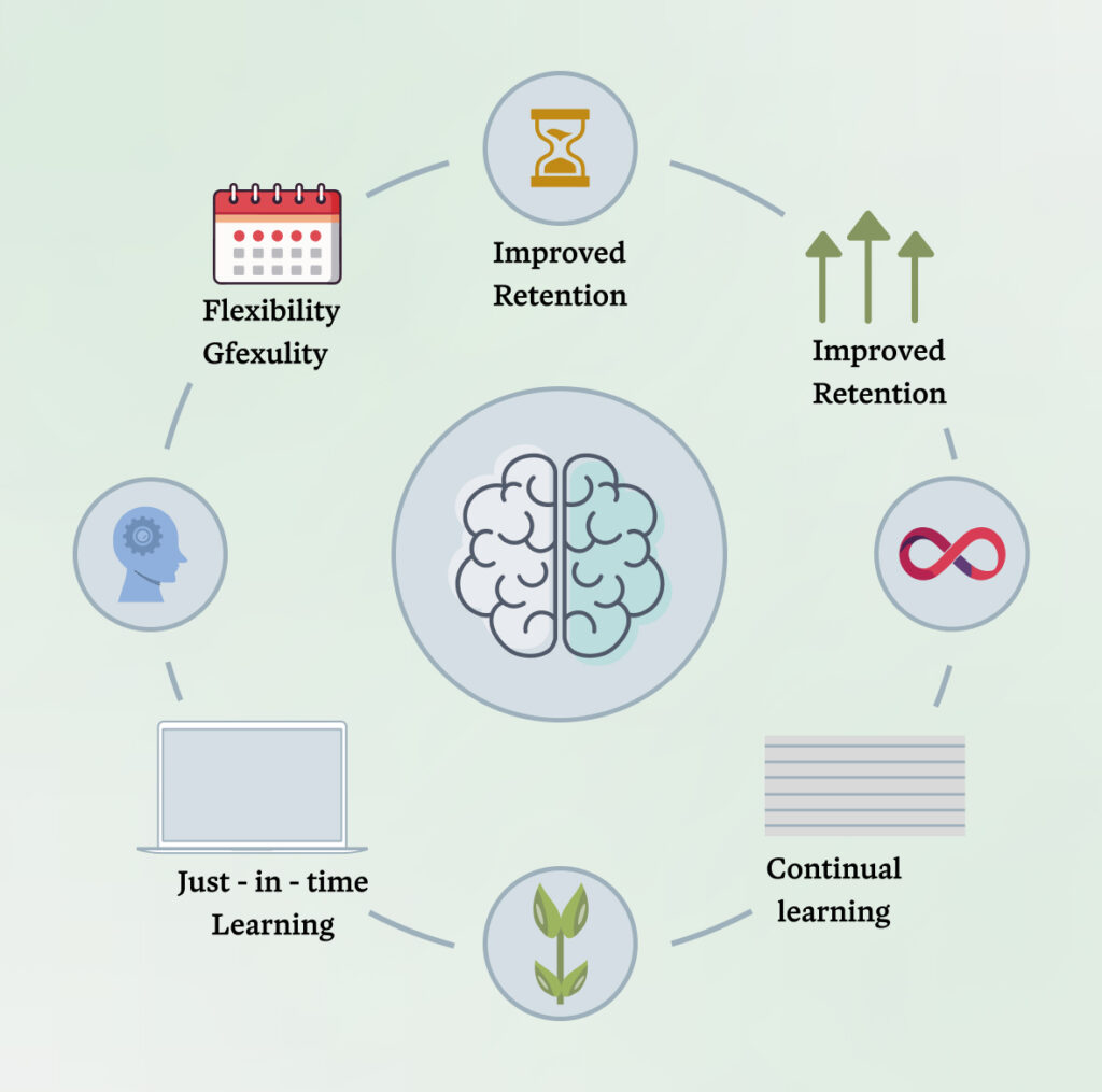Top Future Trends in Custom E-Learning Software Development